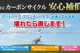 カーボンドライ