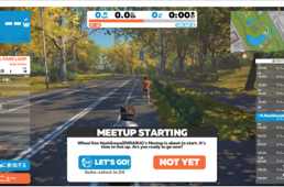 チームユーラシア-iRCタイヤ