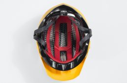 ボントレガー・Rally