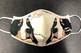 パンダーニのマスク