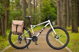 GT・アグレッサーリジッド