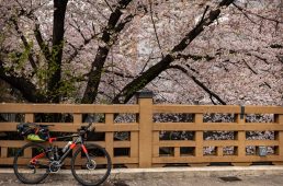 旧街道じてんしゃ旅 其の二 初日