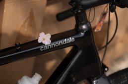 旧街道じてんしゃ旅 其の二 初日