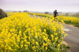 旧街道じてんしゃ旅 其の二 初日