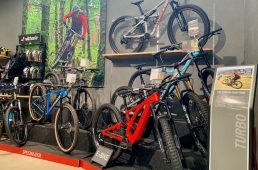 ラビットストリート