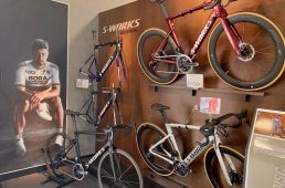 ラビットストリート