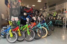 ラビットストリート