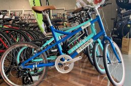 ラビットストリート