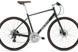 ジャイアント2021・エスケープ R