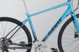 ジャイアント2021・エスケープ R