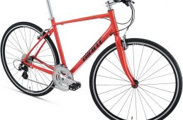 ジャイアント2021・エスケープ R