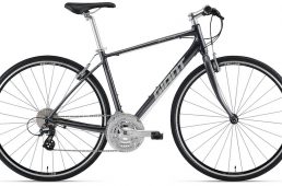 ジャイアント2021・エスケープ R