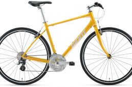 ジャイアント2021・エスケープ R