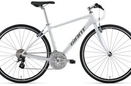 ジャイアント2021・エスケープ R