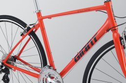 ジャイアント2021・エスケープ R