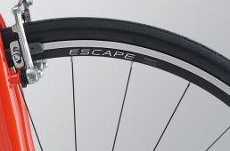 ジャイアント2021・エスケープ R