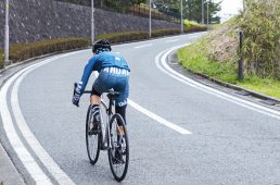 ゼリウスSL500ディスク