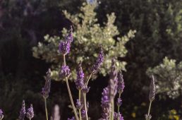 別府史之が見た世界 étape06