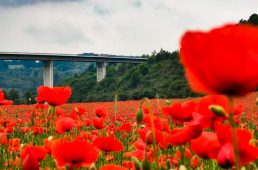 別府史之が見た世界 étape06