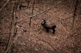 旧街道じてんしゃ旅 旧中山道編 二日目 その弐