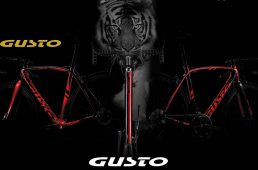 松井輪業試乗会