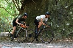 トップストーン×eバイク×レフティ