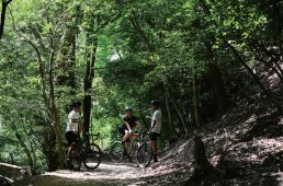 トップストーン×eバイク×レフティ