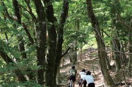 トップストーン×eバイク×レフティ