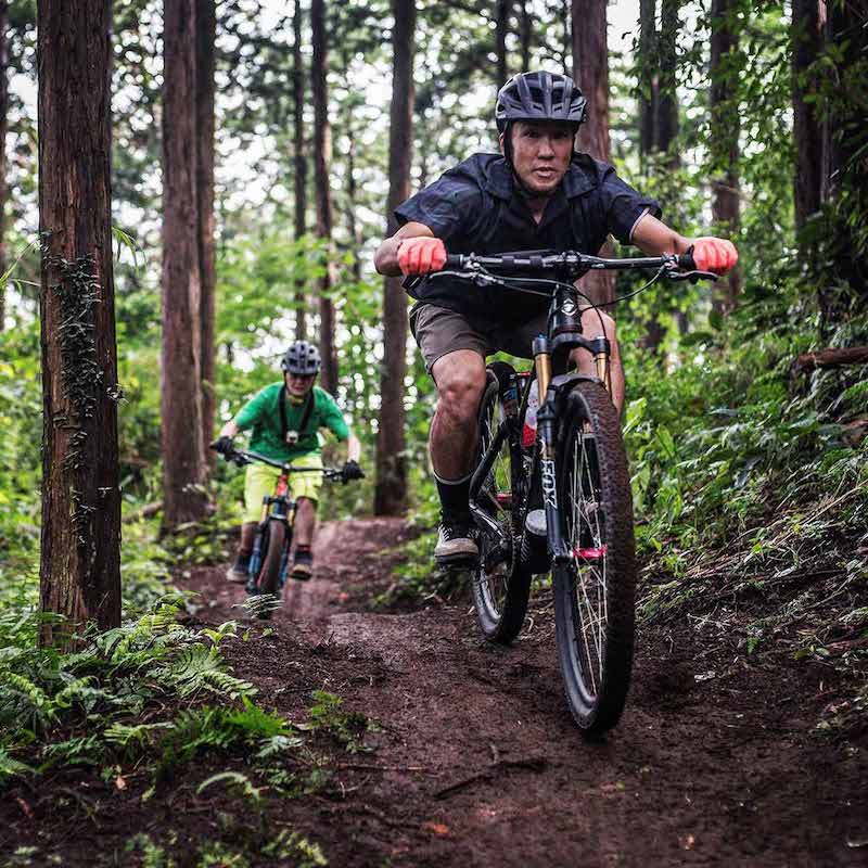 フォレストバイク