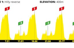 バーチャル・ツール・ド・フランス