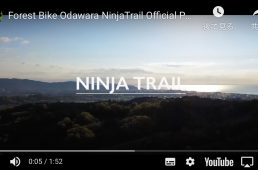 フォレストバイク