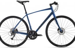 ジャイアント・ESCAPE RX