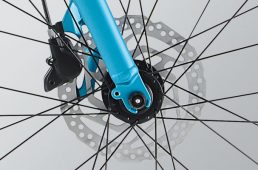 ジャイアント・グラビエ