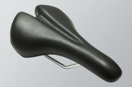 ジャイアント・グラビエ