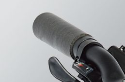 ジャイアント・グラビエ