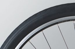 ジャイアント・グラビエ