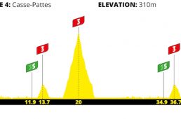 バーチャル・ツール・ド・フランス