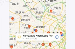 ローカルレジェンズ