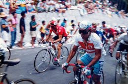 PEZ市川雅敏インタ