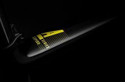 アスペロディスク2021