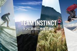 インスティンクトデュアルパワー