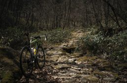 旧街道じてんしゃ旅 旧中山道編 三日目その弐