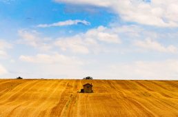 別府史之が見た世界07