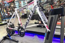 シルベストサイクル
