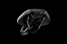 フィジーク・アンタレス