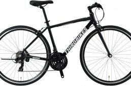 サードバイクス・フェスクロス