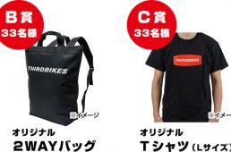 サードバイクス・フェスクロス