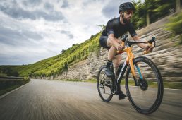 メリダ・リアクト