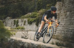 メリダ・リアクト