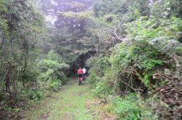 フジヤマパワーライントレイル